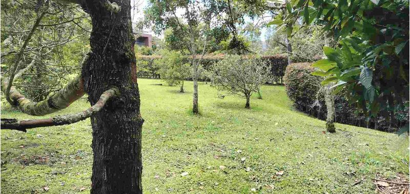 Lote en Venta en La Ceja, La Ceja-6