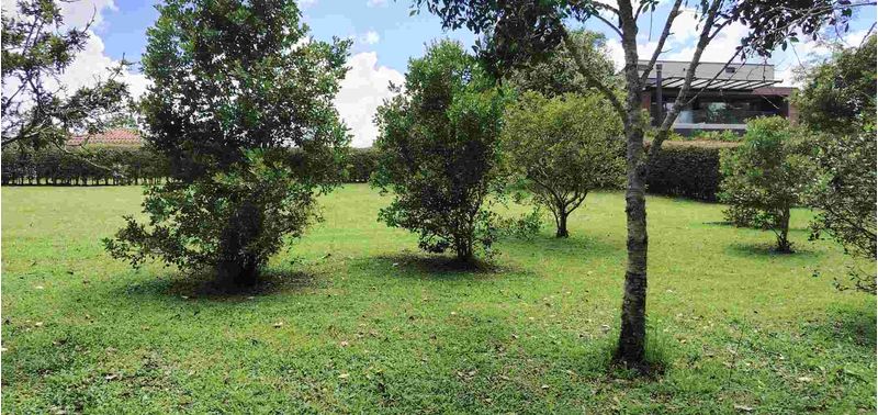 Lote en Venta en La Ceja, La Ceja-7