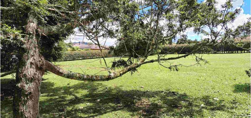 Lote en Venta en La Ceja, La Ceja-9