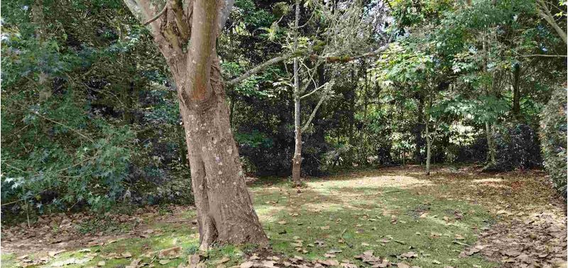 Lote en Venta en La Ceja, La Ceja-10