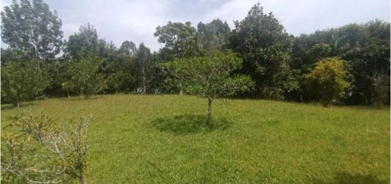 Casa en Venta en El Carmen De Viboral, El Carmen de Viboral-11