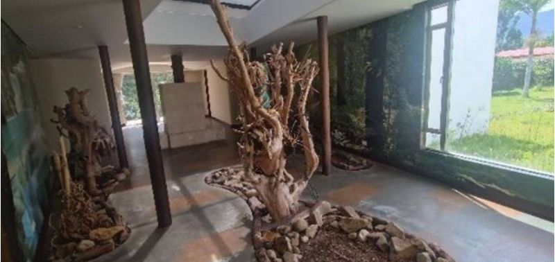 Casa en Venta en El Carmen De Viboral, El Carmen de Viboral-13