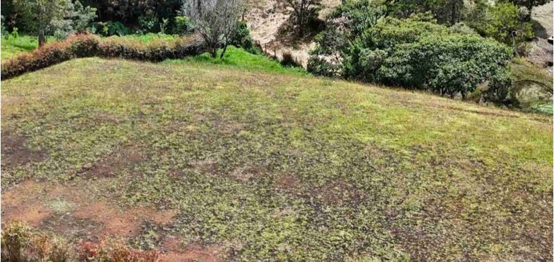 Lote en Venta en El Carmen De Viboral, El Carmen de Viboral-1