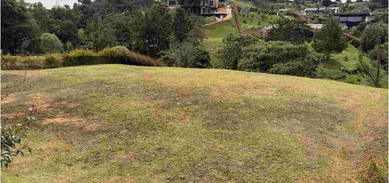 Lote en Venta en El Carmen De Viboral, El Carmen de Viboral-5