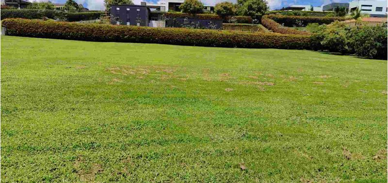 Lote en Venta en La Ceja, La Ceja-5