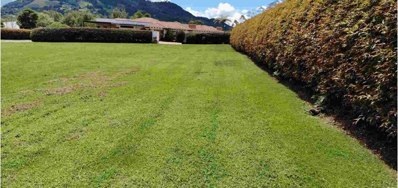 Lote en Venta en La Ceja, La Ceja-7