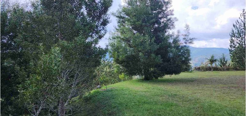Lote en Venta en Retiro, Pantanillo-8