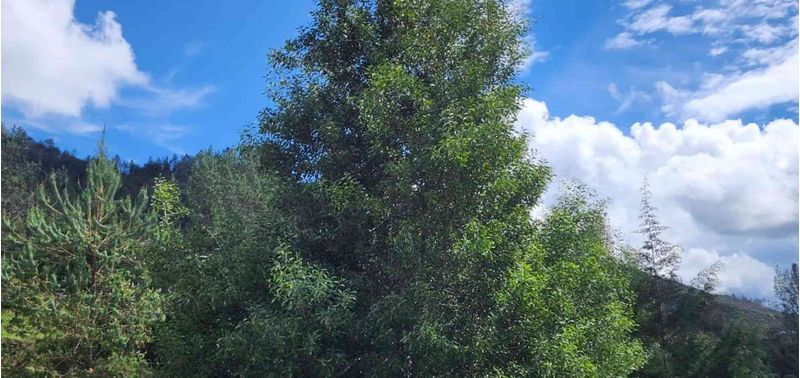 Lote en Venta en Retiro, Pantanillo-9