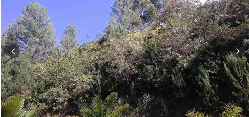 Lote en Venta en Retiro, Pantanillo-12