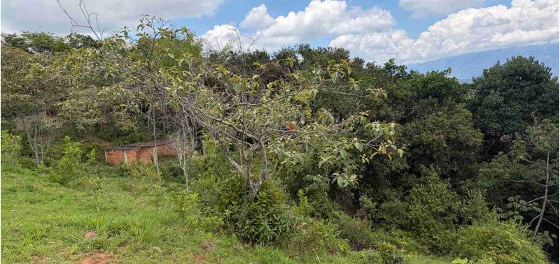 Lote en Venta en San Jerónimo, San Jerónimo-10
