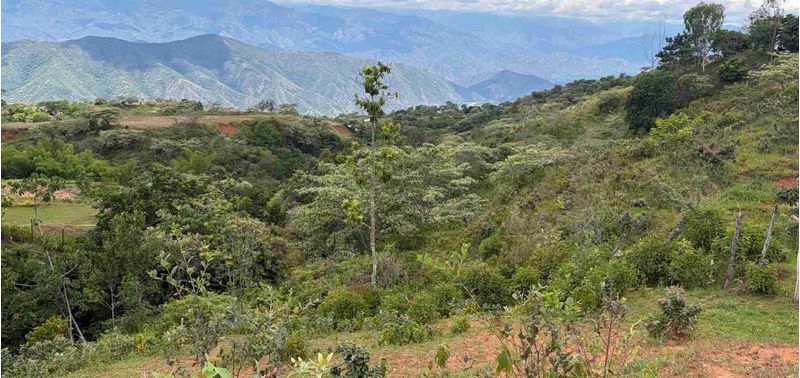 Lote en Venta en San Jerónimo, San Jerónimo-12