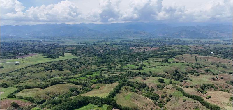 Lotes en Venta Proyecto La Trinidad, Pereira-6