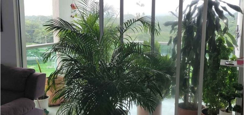Apartamento en Venta en Cartagena De Indias, San José de los Campanos-5