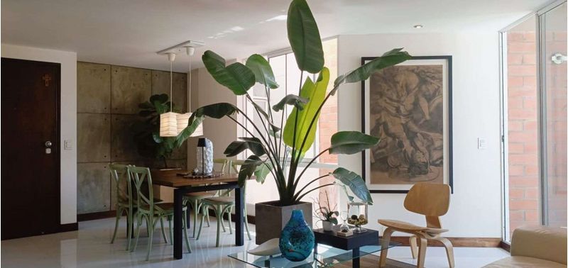 Apartamento en Venta en Medellín, Belén Loma de los Bernal-2