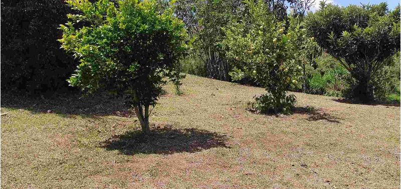 Casa en Venta en Marinilla, Marinilla-11
