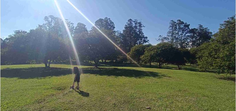 Lote en Venta en Rionegro, Rionegro-7
