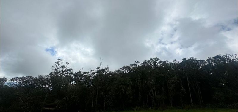 Lote en Venta en Bogotá, D.C., Sopó-3