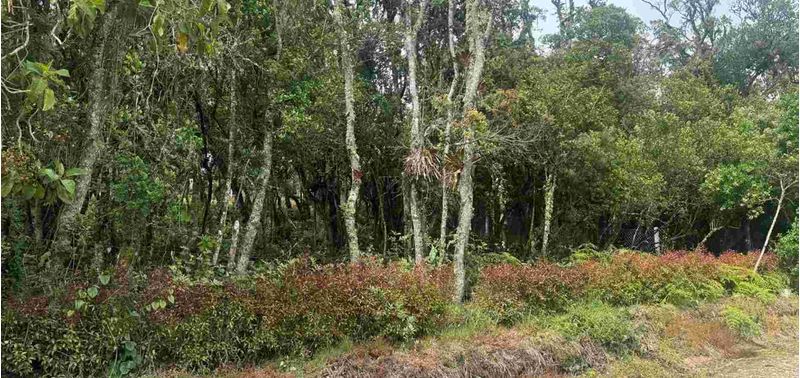 Lote en Venta en Bogotá, D.C., Sopó-8