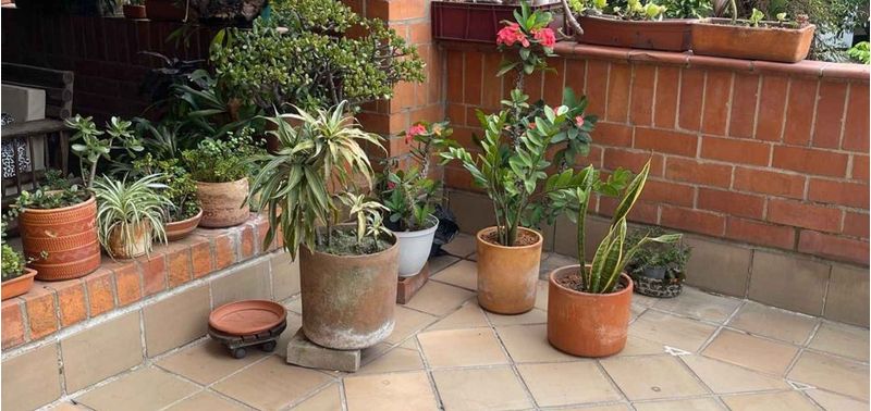 Apartamento en Venta en Medellín, El Poblado-19