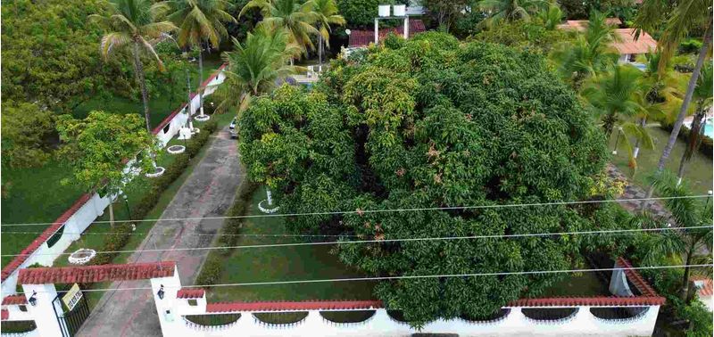 Casa en Venta en Melgar, Melgar-13