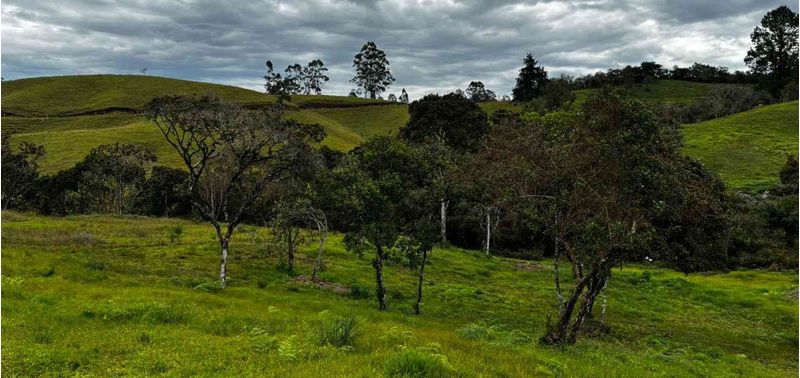 Lote en Venta en El Carmen De Viboral, El Carmen de Viboral-1