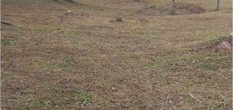Lote en Venta en El Carmen De Viboral, El Carmen de Viboral-2