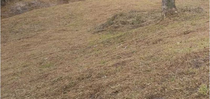 Lote en Venta en El Carmen De Viboral, El Carmen de Viboral-3