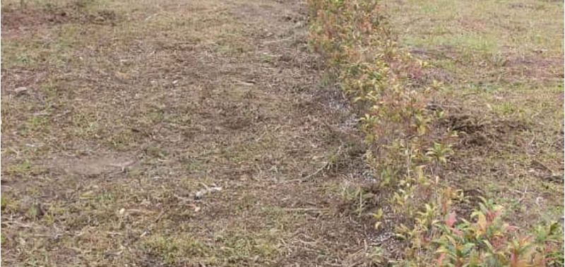 Lote en Venta en El Carmen De Viboral, El Carmen de Viboral-4