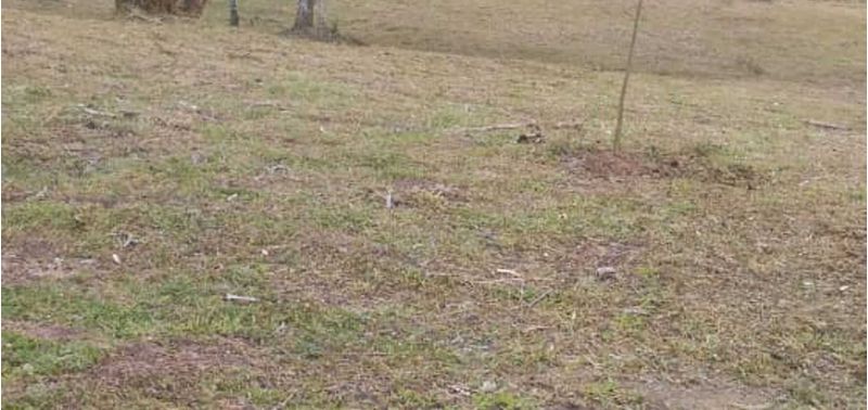 Lote en Venta en El Carmen De Viboral, El Carmen de Viboral-5