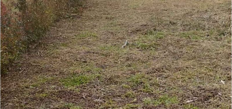 Lote en Venta en El Carmen De Viboral, El Carmen de Viboral-6