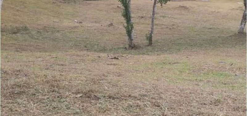 Lote en Venta en El Carmen De Viboral, El Carmen de Viboral-8