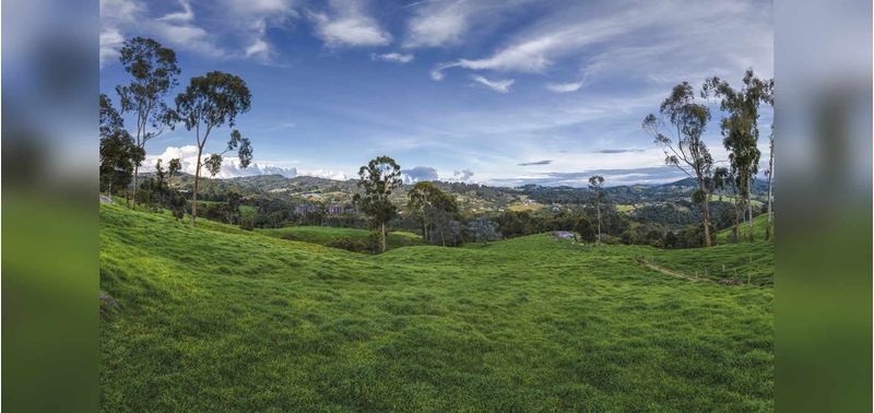 Lotes en Venta Proyecto Terrazul Reserva, Envigado-5