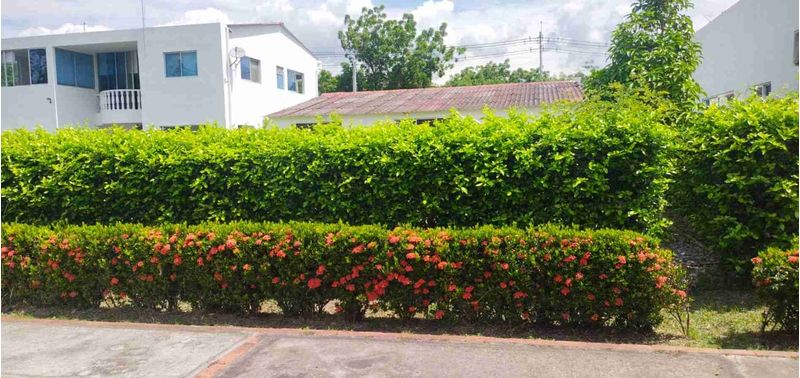 Lote en Venta en Flandes, Flandes-1