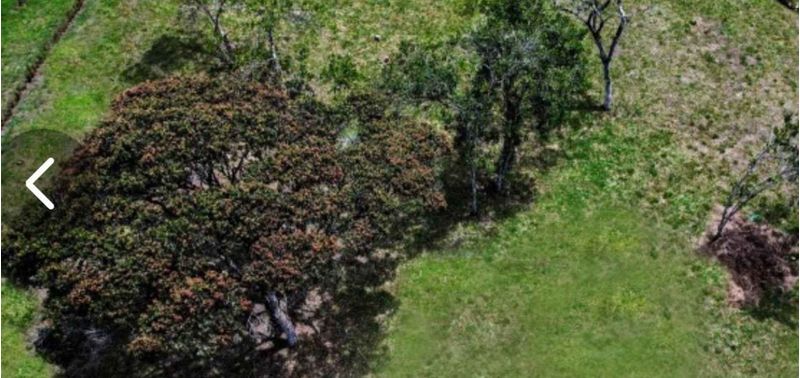 Lote en Venta en La Ceja, La Ceja-3