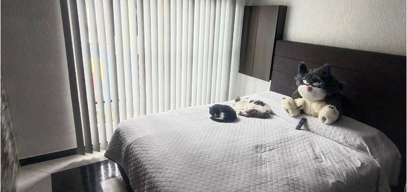 Casa en Venta en Bogotá, D.C., Ciudad Tunal-7