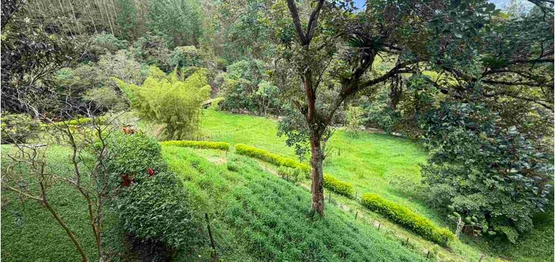 Casa en Venta en Barbosa, Barbosa-25