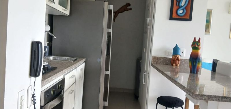 Apartamento en Venta en Santa Marta, Santa Marta (Distrito Turistico Cultural E Historico)-3