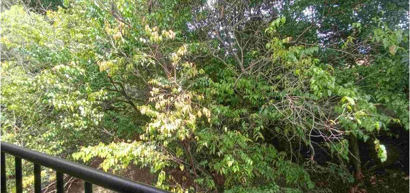 Apartamento en Venta en Medellín, Belén-19