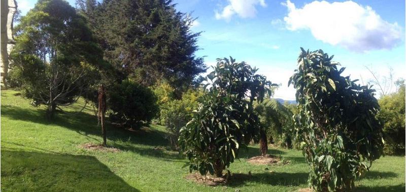 Casa en Venta en Rionegro, Rionegro-1