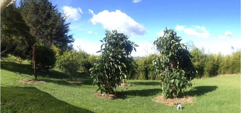 Casa en Venta en Rionegro, Rionegro-2