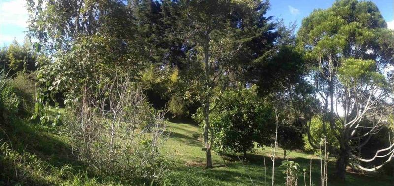Casa en Venta en Rionegro, Rionegro-4