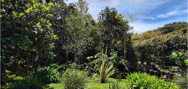 Casa en Venta en Envigado, El Escobero-13