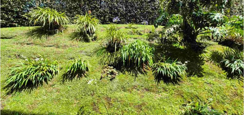 Casa en Venta en Envigado, El Escobero-14