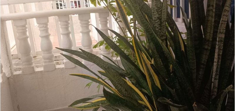 Casa en Venta en Puerto Colombia, Puerto Colombia-9