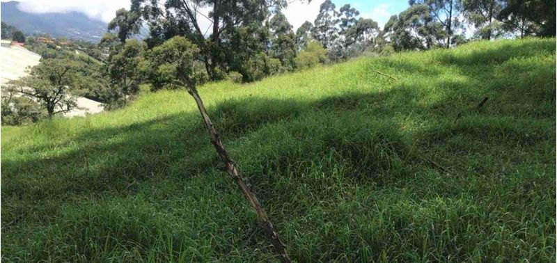 Lote en Venta en El Carmen De Viboral, El Carmen de Viboral-0