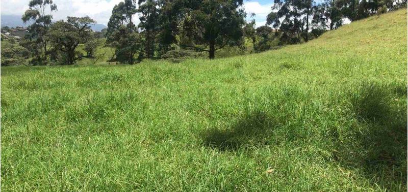 Lote en Venta en El Carmen De Viboral, El Carmen de Viboral-1