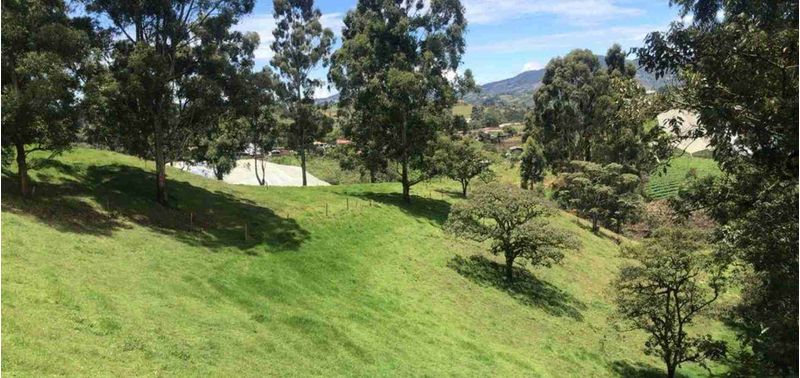 Lote en Venta en El Carmen De Viboral, El Carmen de Viboral-2