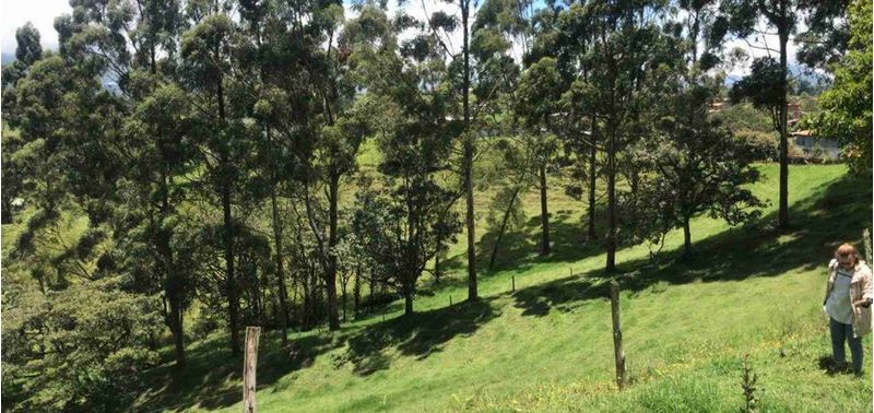 Lote en Venta en El Carmen De Viboral, El Carmen de Viboral-3