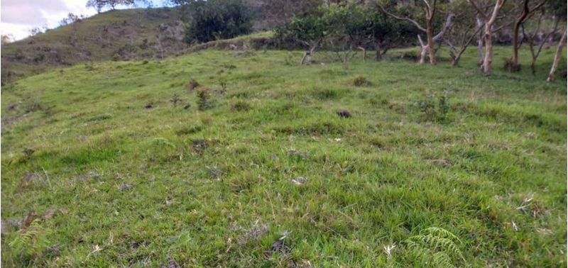 Lote en Venta en Peñol, Peñol