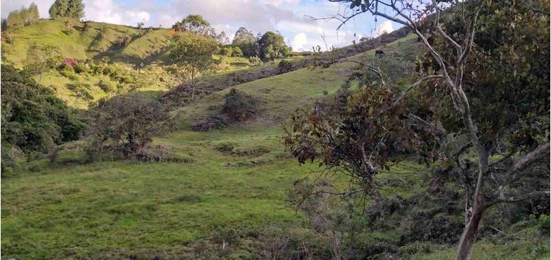 Lote en Venta en Peñol, Peñol-3
